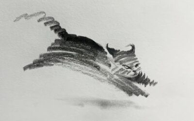 The minimalist art of Shou Xin: capturing feline expressions through pencil sketches