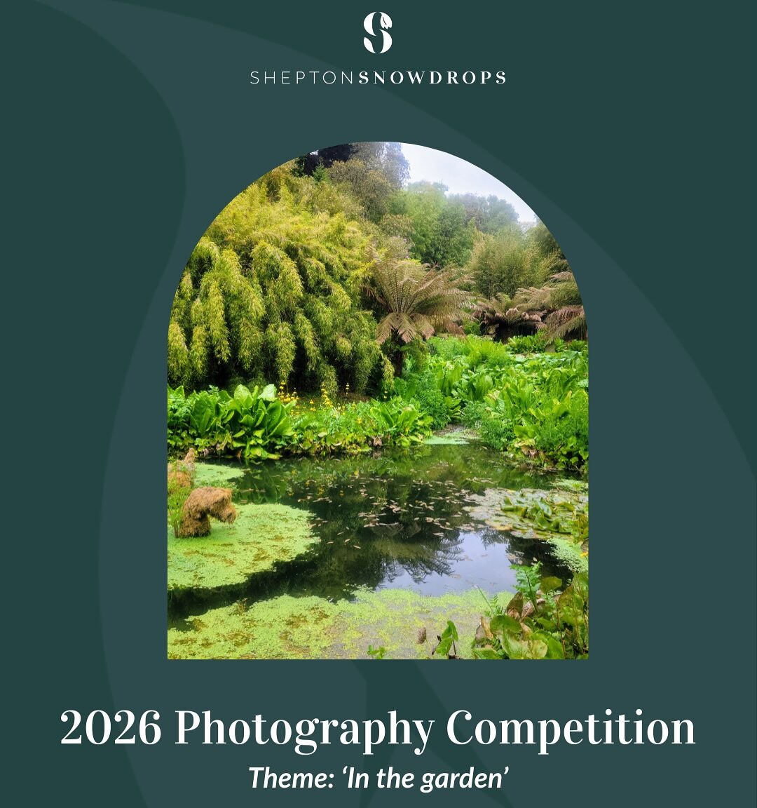 2026 Photography Competition