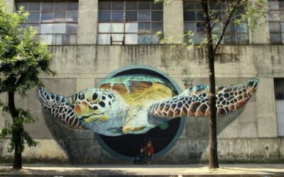 Contemporary art and public space transform urban experiences in Latin America