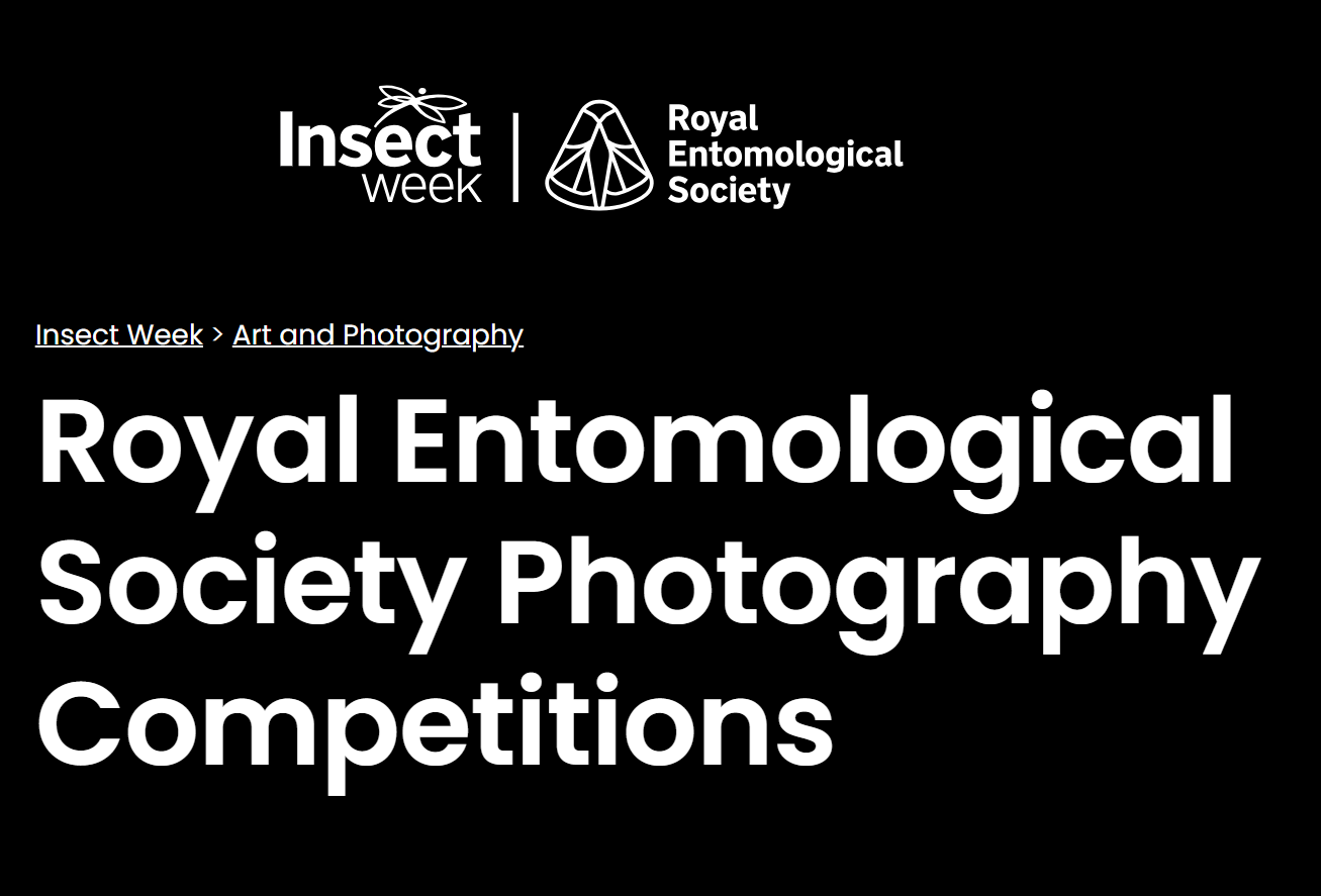 Insect Week Photography Competition 2026