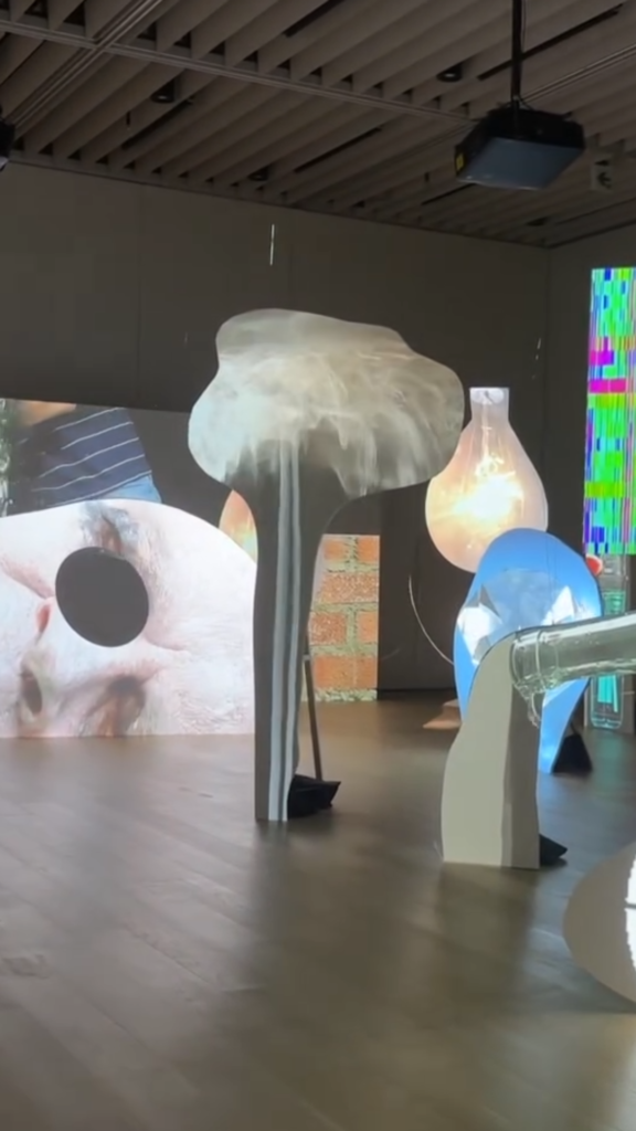 Tony Oursler exhibition Tokyo 2