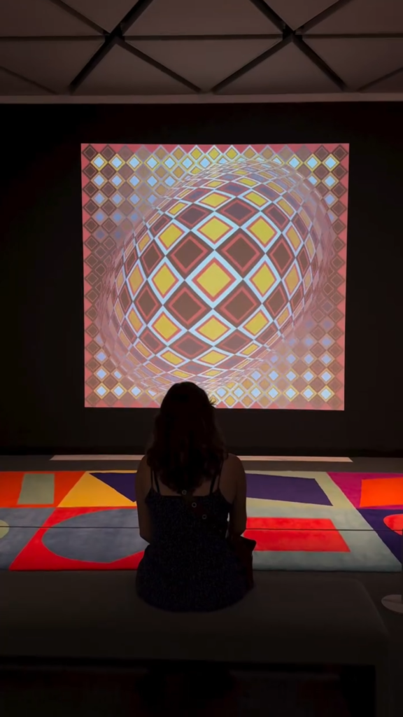 Vasarely architecture exhibition 5